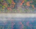 New Jersey-Belleplain State Forest Sunrise on lake fog Art Print
